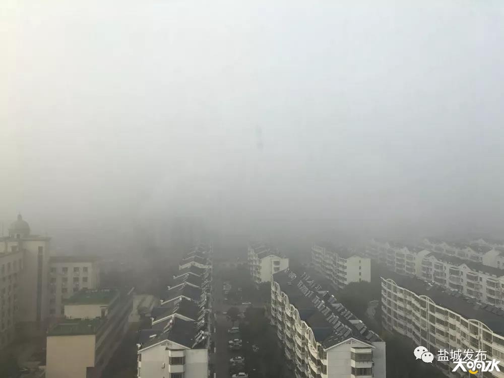 微信图片_20181119150252.jpg