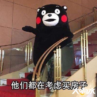 timg (3).jpg