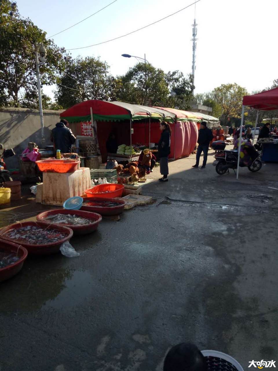 大响水论坛_20181214_183933.jpg