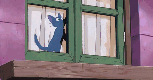 timg.gif