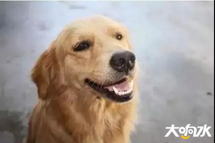 微信图片_20181225115928.jpg