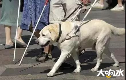 微信图片_20181225115948.jpg