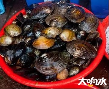 微信图片_20181226152857.jpg