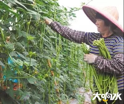 微信图片_20181226153056.jpg