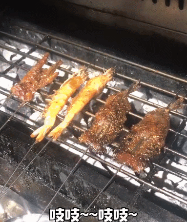 微信图片_20190124043450.gif