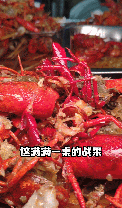 GIF5.gif