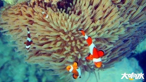 51_1167115_55ecfccfa5b6c30.jpg