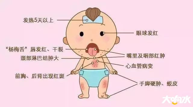 t014ef825aad9f7d2c9.jpg