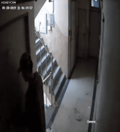 微信图片_20190601160619.gif