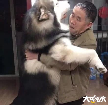 微信图片_20190719113830.jpg