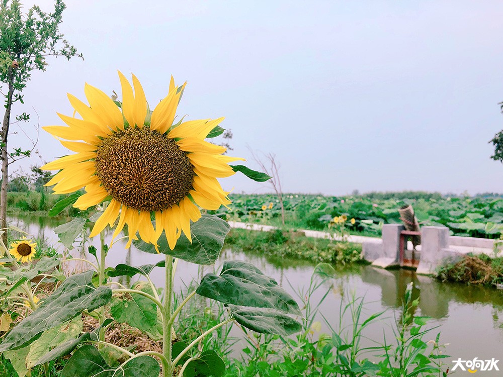 微信图片_20190721111405.jpg