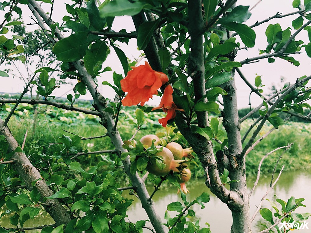 微信图片_20190721111416.jpg