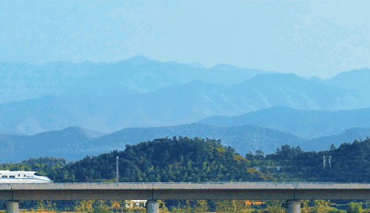 微信图片_20190806094019.gif