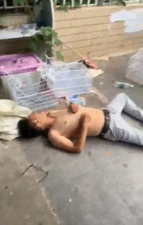 GIF.gif
