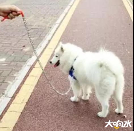 微信图片_20190829141645.jpg