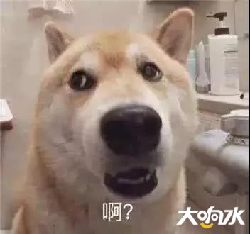 微信图片_20190829141620.jpg