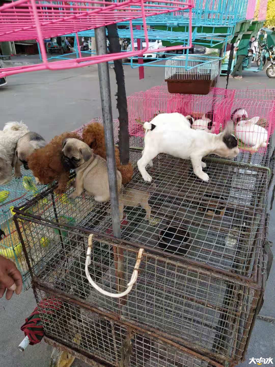 微信图片_20190916141918.jpg