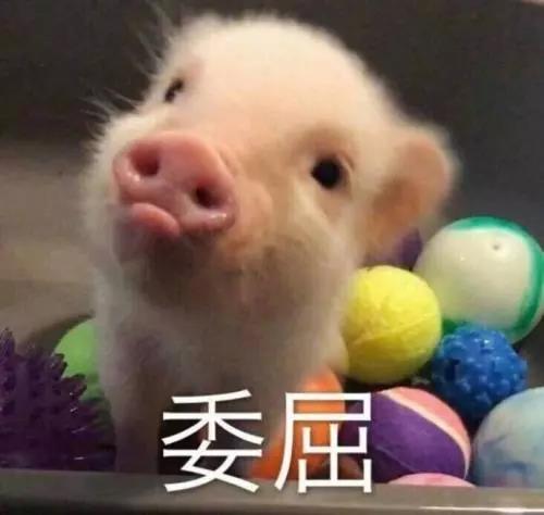 微信图片_20191105082921.jpg