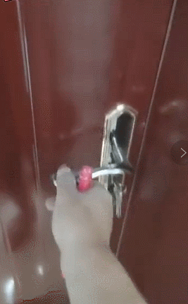 GIF.gif