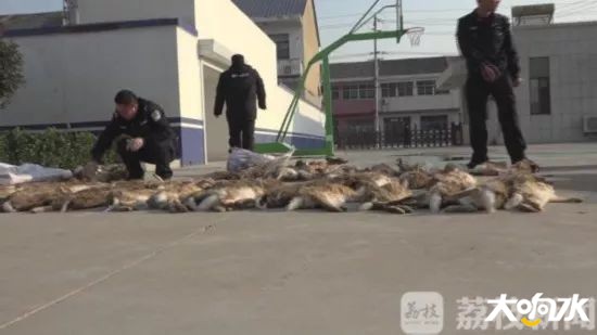 微信图片_20191215065554.jpg