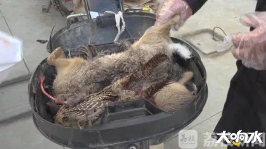 微信图片_20191215065557.jpg