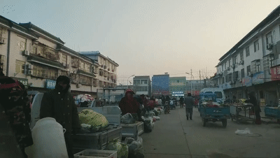 841183845fe2a9b38375621977297df1[00_00_02--00_00_07].gif