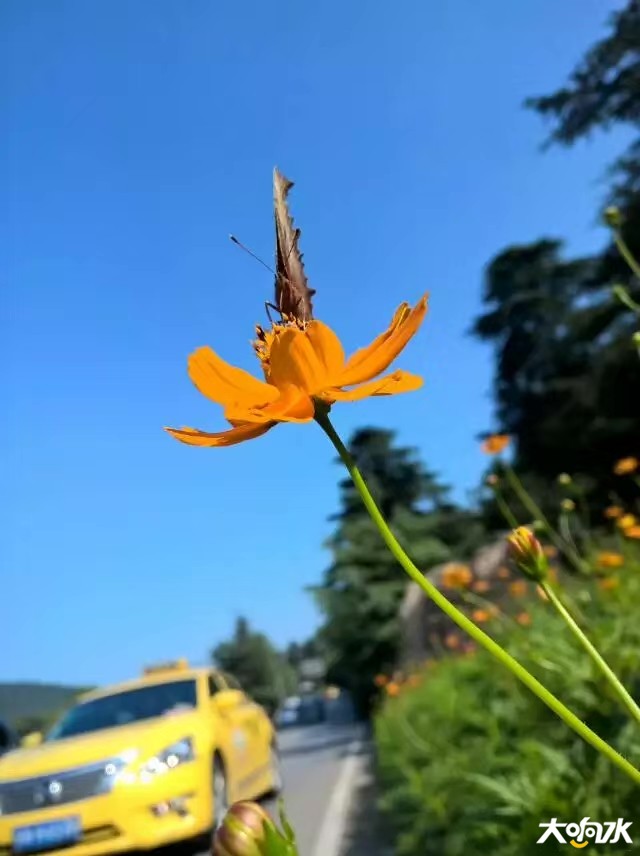 微信图片_20200224104052.jpg