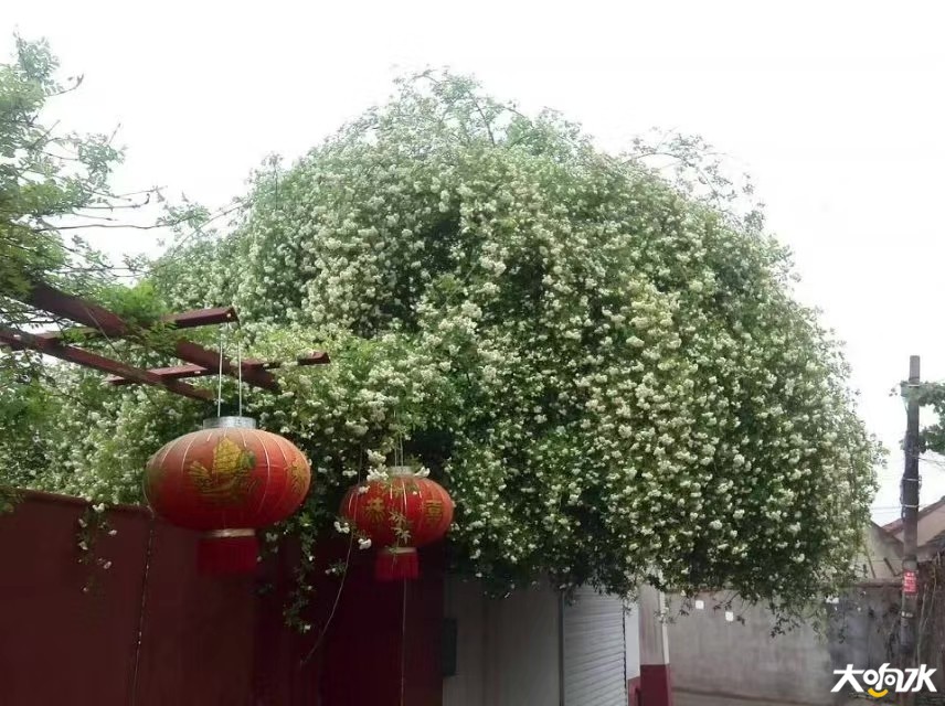 微信图片_20200224104600.jpg