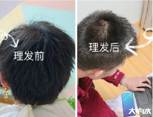 微信图片_20200225155250.png