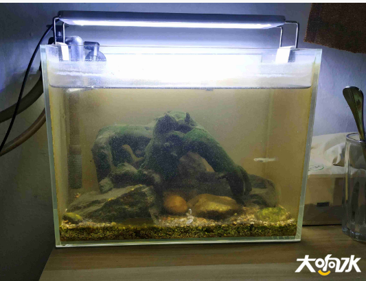 微信图片_20200225162843.png