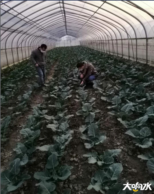 微信图片_20200305105214.png