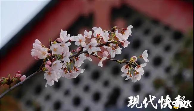 微信图片_20200316101123.jpg