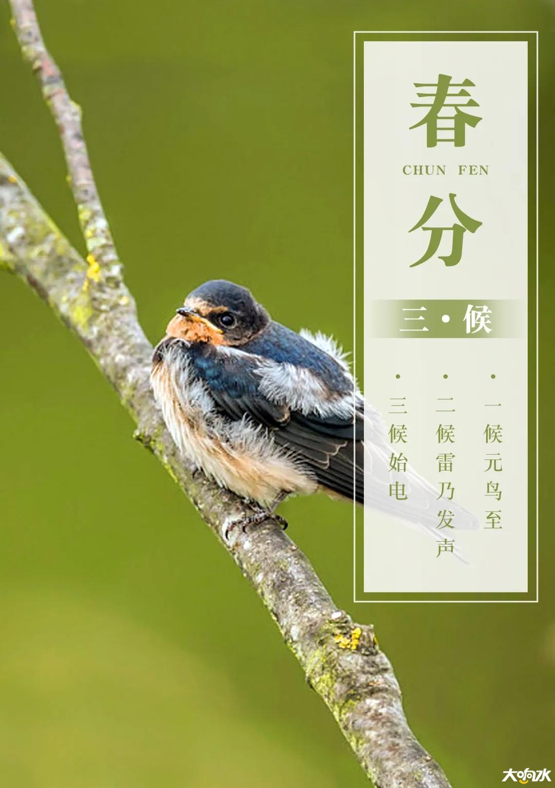 微信图片_20200320091900.jpg
