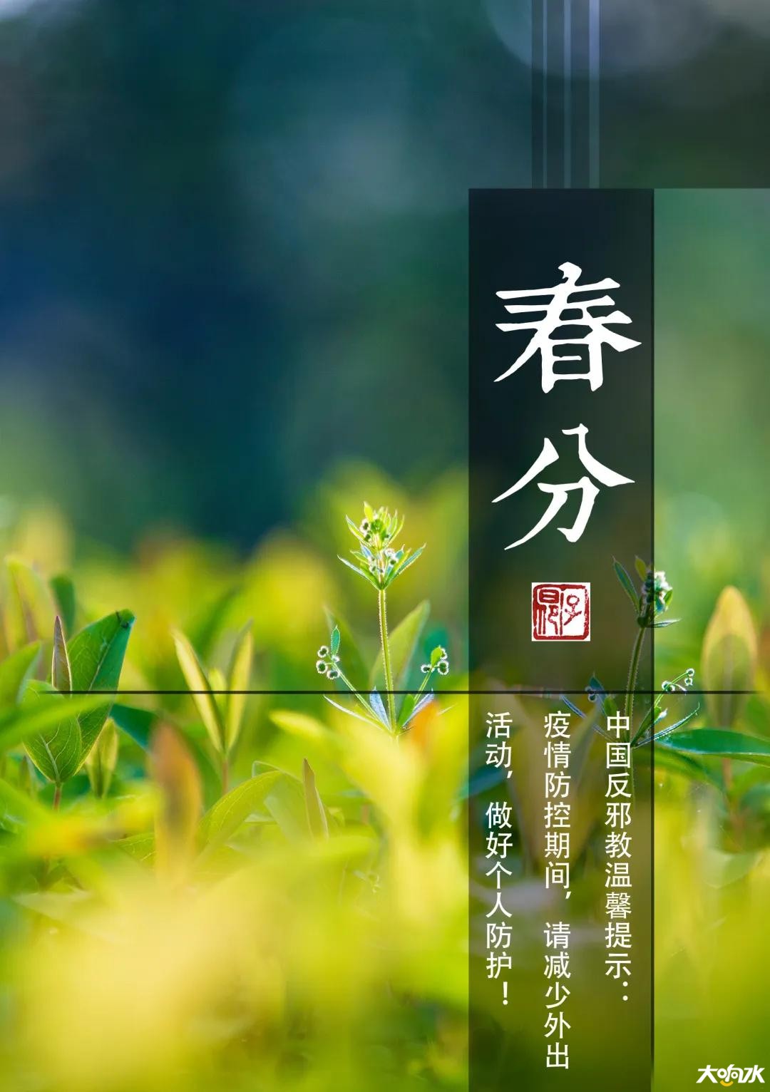 微信图片_20200320091852.jpg