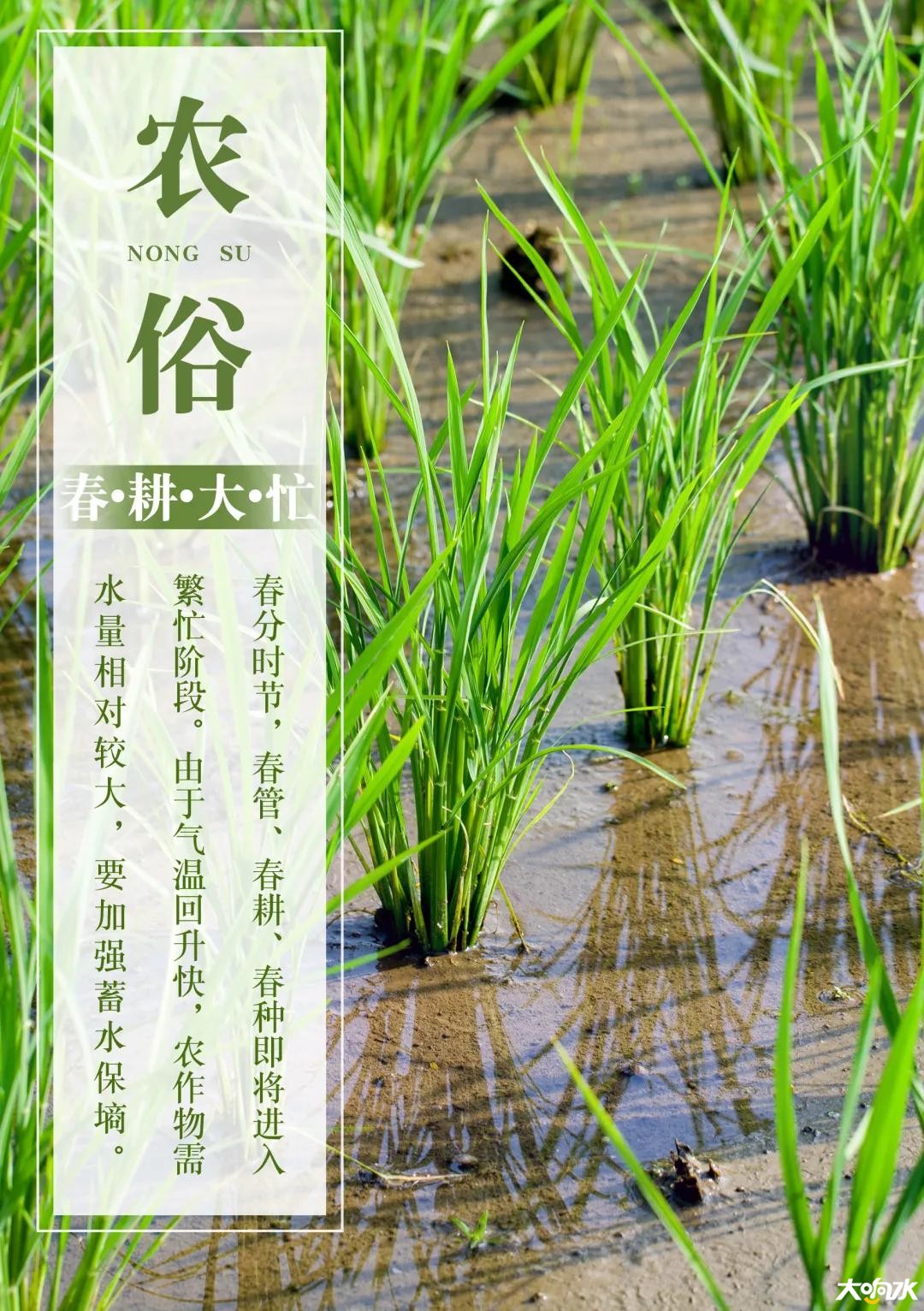 微信图片_20200320091908.jpg