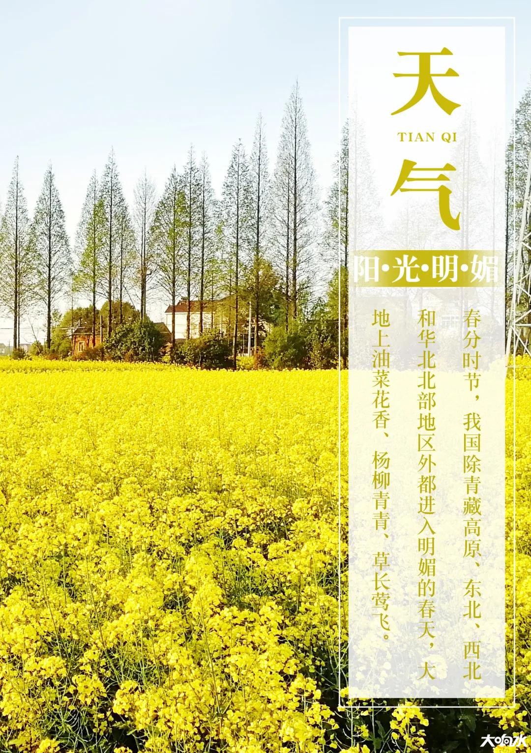 微信图片_20200320091904.jpg