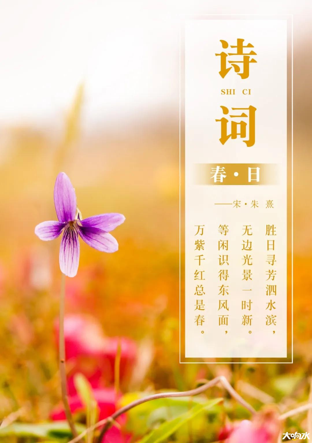 微信图片_20200320091918.jpg