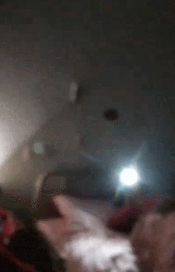 和美1.gif
