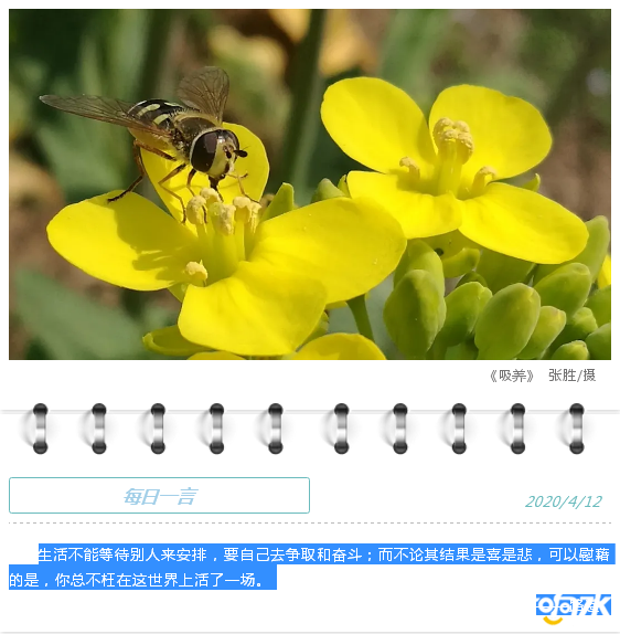 微信图片_20200413104652.png