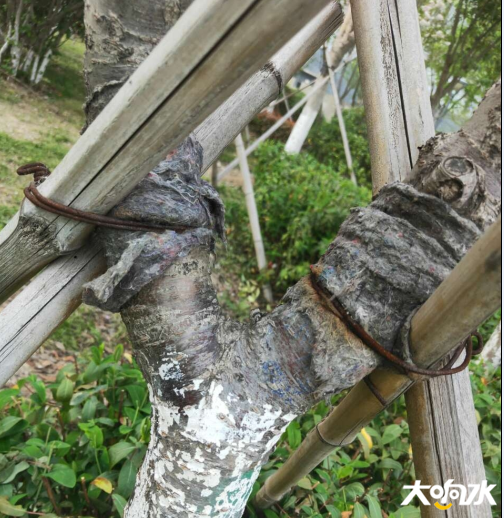 微信图片_20200417094911.png