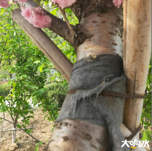 微信图片_20200417094919.png