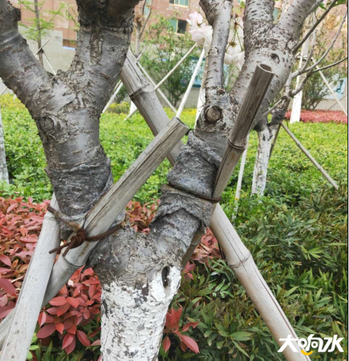 微信图片_20200417094922.png