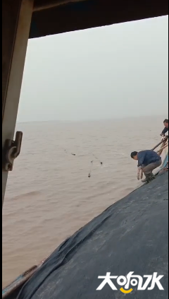 微信图片_20200511104646.png