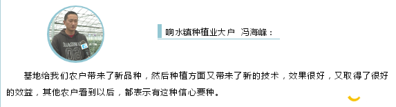 微信图片_20200512103342.png