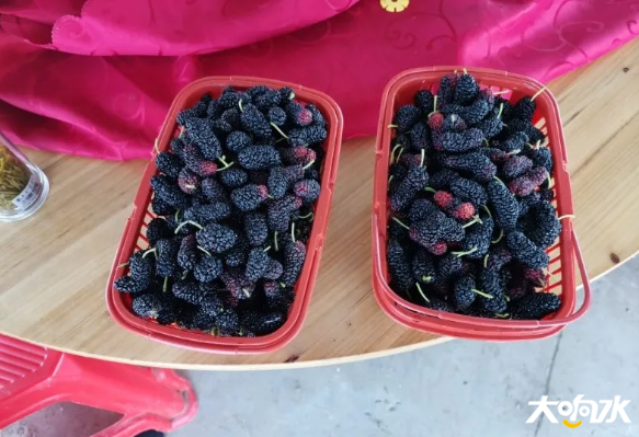 微信图片_20200519105601.png