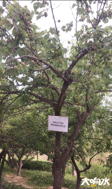 微信图片_20200522093101.png