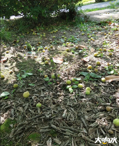 微信图片_20200522093107.png