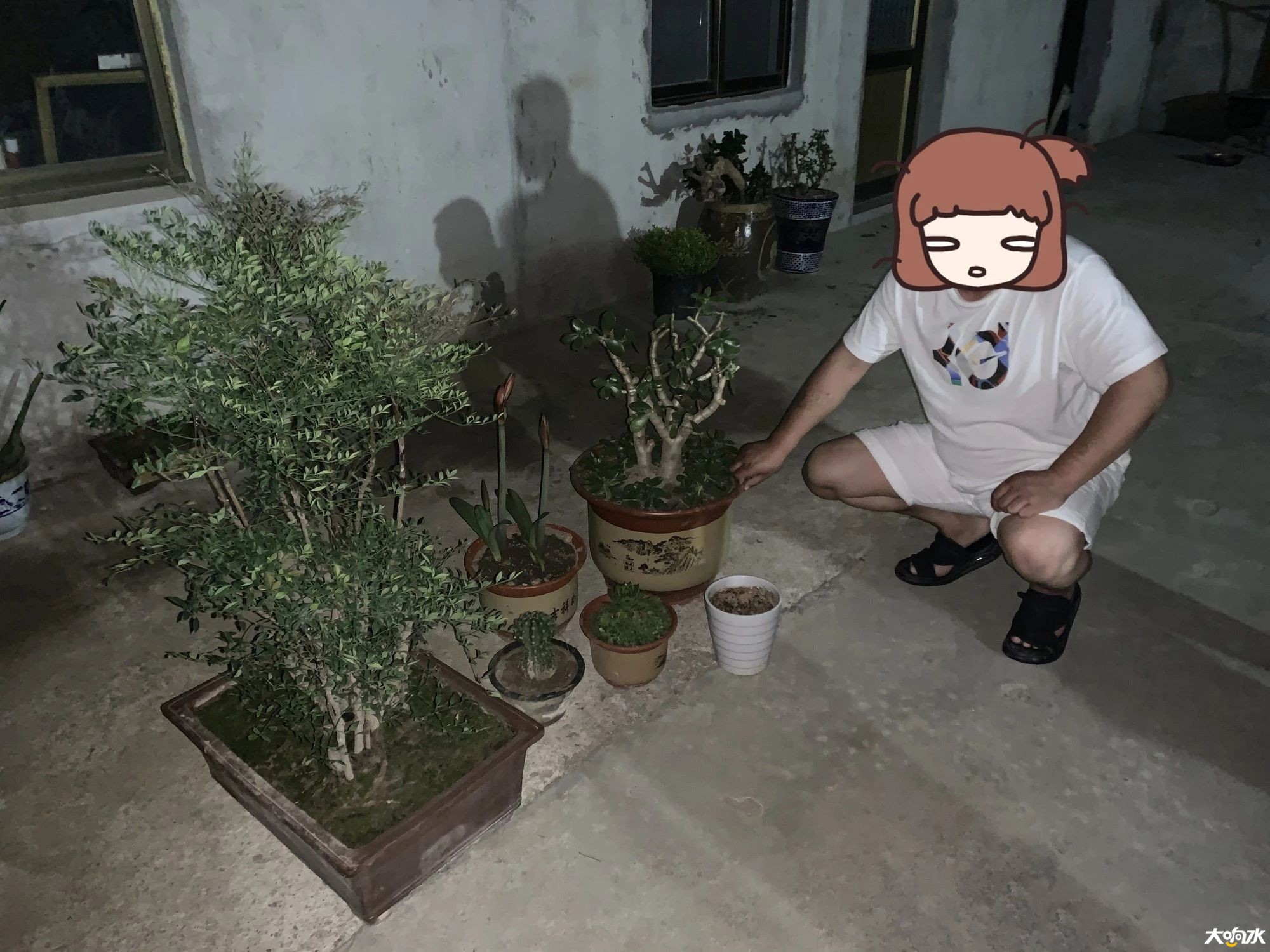 134111dr4d1o8r774xpnzr.jpg