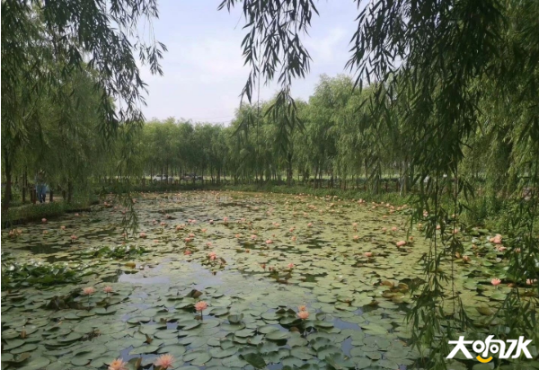 微信图片_20200608094200.png