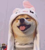 微信图片_20200611171428.gif
